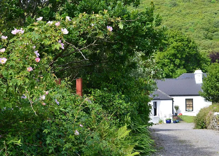 Kilcommon Hostel Belmullet